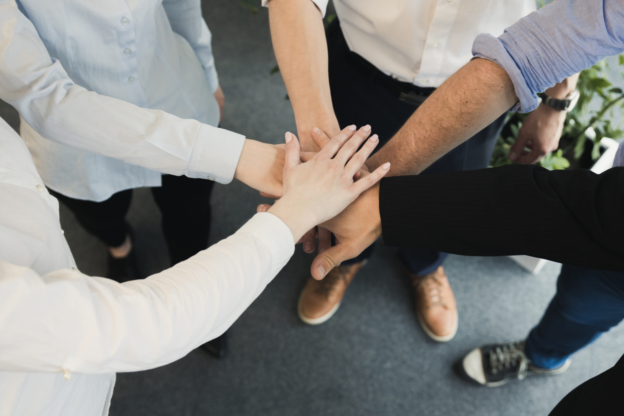 Assemblée générale annuelle